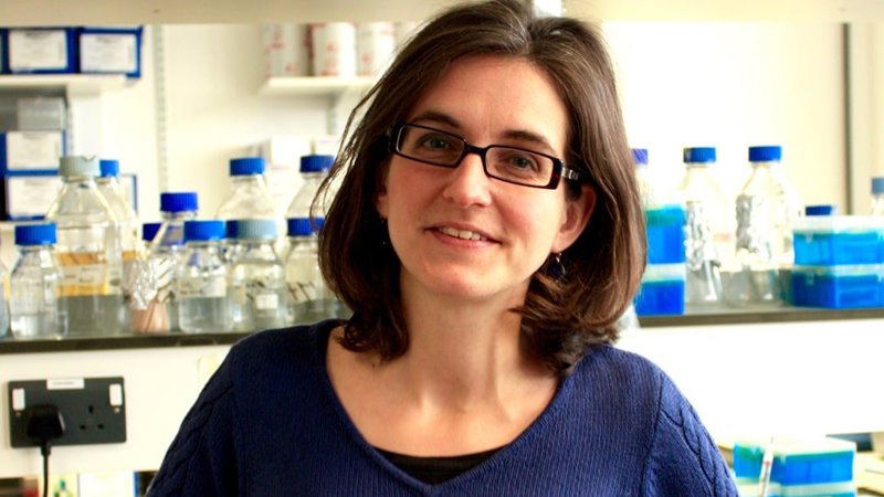 Stineke-Van-Houte.jpg