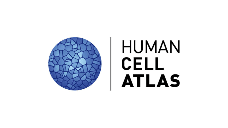 human-cell-atlas.png